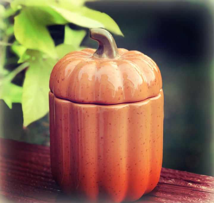 Burnt Orange Speckled Pumpkin Jar, with lid